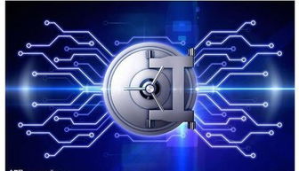 虛擬服務(wù)器 網(wǎng)絡(luò)與信息安全軟件開發(fā)的基礎(chǔ)